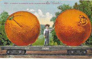 A Carload of Two Giant Naval Oranges Cute Little Boy California 1911