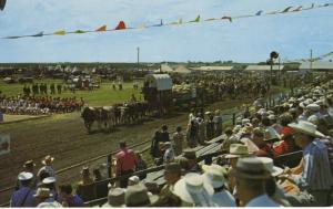 Pion-Era Parade ~ Saskatoon SK Saskatchewan ~ Horses Wagons Vintage Postcard