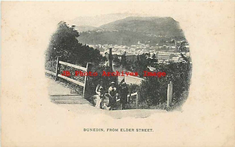 New Zealand, Dunedin, Town View from Elder Street, UDB 