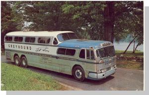 Striking Greyhound Bus Postcard, Greyhound Bus Line/1964