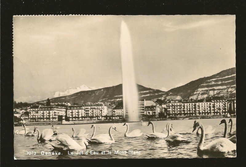 Postmark 1960 Geneve Switzerland Swans Fountain & Mount Blanc Photo Postcard