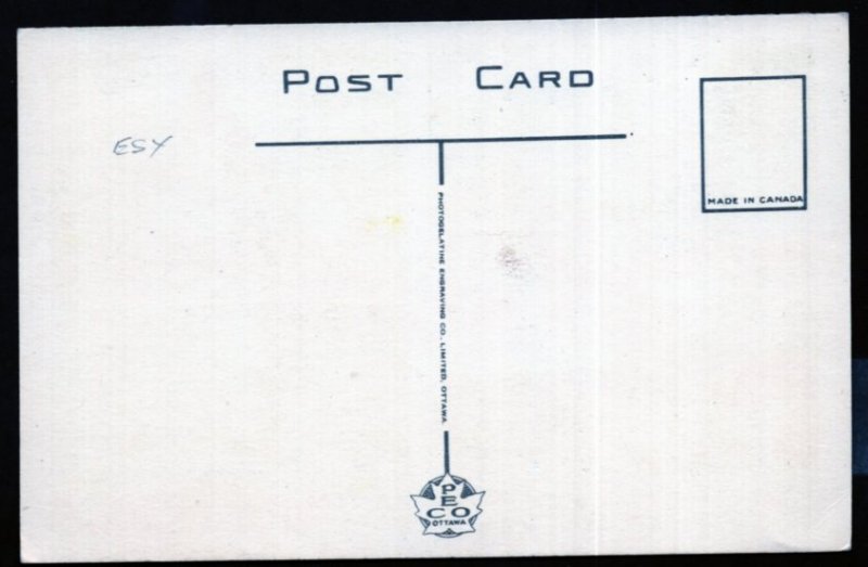 Ontario MultiView AMHERSTBURG - PECO Postcard  - White Border