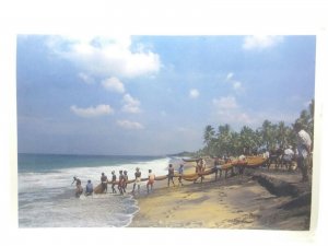 Fishermen Hauling in Fishing Nets Kovalam Beach Kerala India Vintage Postcard