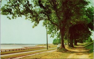 Charlottetown PE Victoria Park Drive Car PEI Unused Vintage Postcard H28