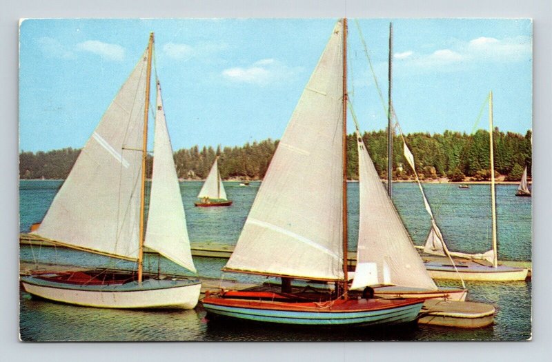 Greetings From Putnam Connecticut CT Sailboats Postcard UNP VTG Plastichrome 