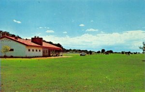 ROSWELL NM~NEW MEXICO MILITARY INSTITUTE GOLF COURSE POSTCARD