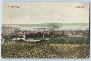 Syddanmark Denmark Postcard Panoramic View of Svendborg c1910 Unposted Antique