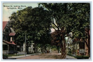 1920 Walnut St. Exterior Road Looking North Springfield Massachusetts Postcard