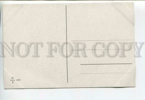 444003 KASKELINE Dressed CAT entomologist Butterfly Vintage postcard