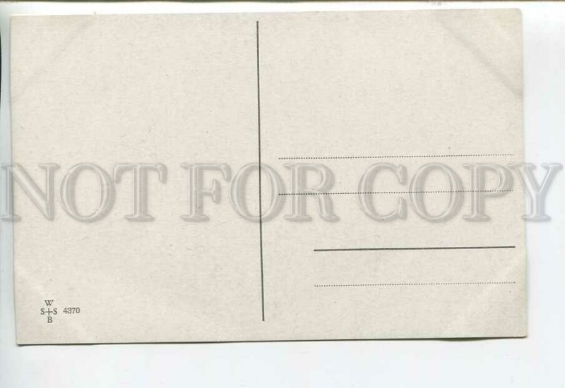 444003 KASKELINE Dressed CAT entomologist Butterfly Vintage postcard