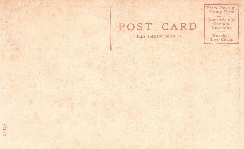Vintage Postcard 1900's View of Washington Park Walerloo lowa IA