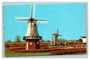 Vintage 1968 Postcard Tulip Field & Park on Windmill Island Holland Michigan