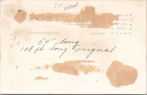 Erie Railroad Mallet Articulated Triplex Compund Locomotive Display Postcard Y15