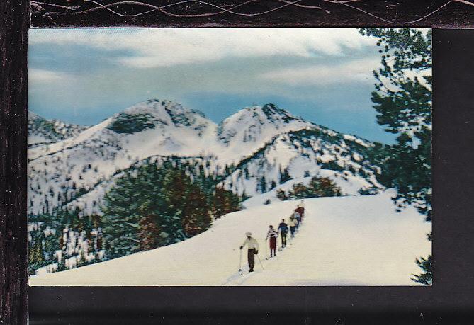 Skiing,Anthony Lakes,OR Postcard 