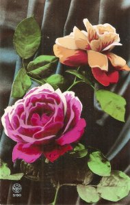 Flowers. Beautiful roses Lovely old vintage French, A.Noyer, postcard