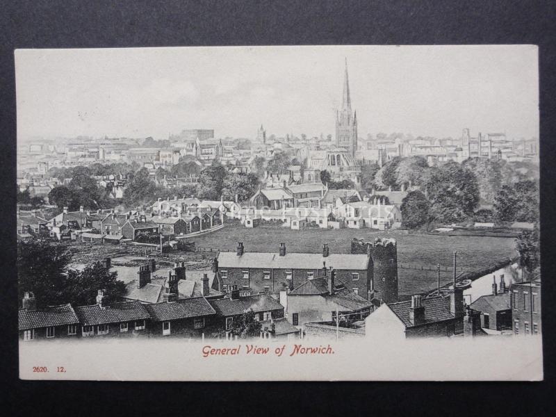 Norfolk NORWICH Panoramic General View c1907 Old Postcard by Hartmann 2620.12