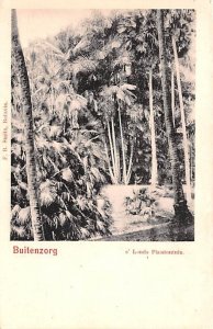 Lands Plantentuin Buitenzorg Indonesia, Republik Indonesia Unused 