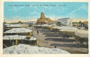 Postcard Arizona Phoenix Long Staple Seed Cotton to be grinded Kropp 23-4970