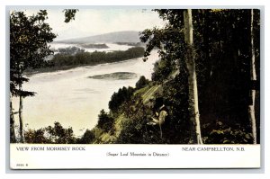 View From Morrisey Rock Campbelltown New Brunswick Canada UNP DB Postcard T6