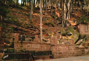 Postcard Mont-Sainte-Odile Bas-Rhin Source Ste-Odile Mountain Peak Alsace France