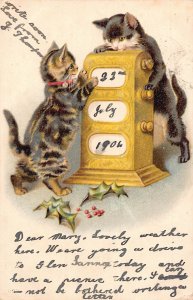 Animals Anthropomorphic Humanized Cats Holy Tree Jukebox Play postcard B923