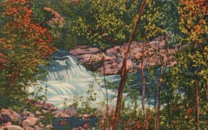 Vintage Postcard 1947 Waterfalls Rio Ruidoso Lincoln National Forest New Mexico