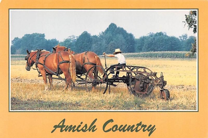 Amish - Pennsylvania