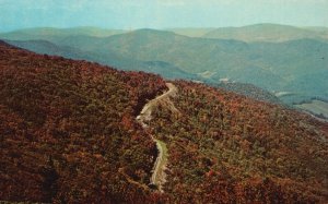 Vintage Postcard Aerial View Road Largest Rhododendron Garden Eastern Tennessee