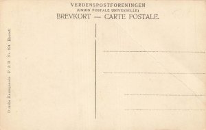 Middelfart Denmark~Hindsgavl~1910s PHOTO POSTCARD