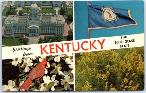 Postcard - The Blue Grass State - Greetings from Kentucky