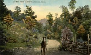 MA - Northampton. On the Road