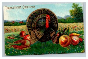 Vintage 1912 Thanksgiving Postcard - Large Turkey with Harvest Wheat Fields NICE