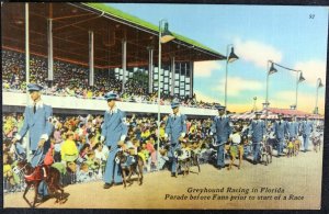 Florida Greyhound Racing