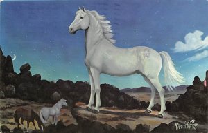 White Stallion By Piern Parker Horse Unused 