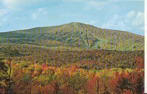 America Postcard - Fall in Vermont - Bromley Mountain - Ref 3776A