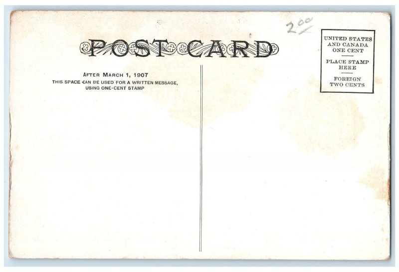 c1920's Halibut Catch Fish Terminal Process On Puget Sound Washington Postcard