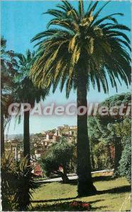 Postcard Modern Grasse Vegetation Mediterranean and the city