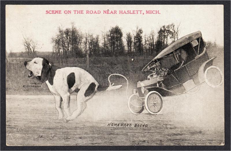 Haslett MI Giant Dog Tied to Car Exaggeration Postcard by Johnson Mailed 1923