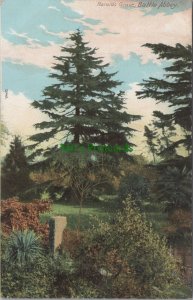 Sussex Postcard - Battle Abbey, Harolds Grave   RS31699