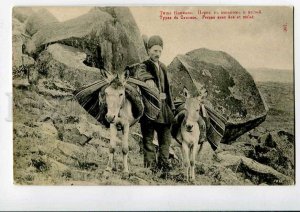 3078644 CAUCASUS IRAN Persian man w/ donkey & mule Vintage PC