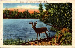 USA Greetings From Topinabee Michigan Deer Linen Postcard C001