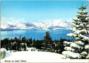 Nevada Winter At Lake Tahoe