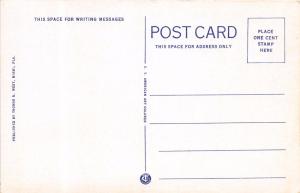 CORAL GABLES FLORIDA~PLENTIFUL MERMAIDS DIVING AT VENETIAN POOL POSTCARD 1920s