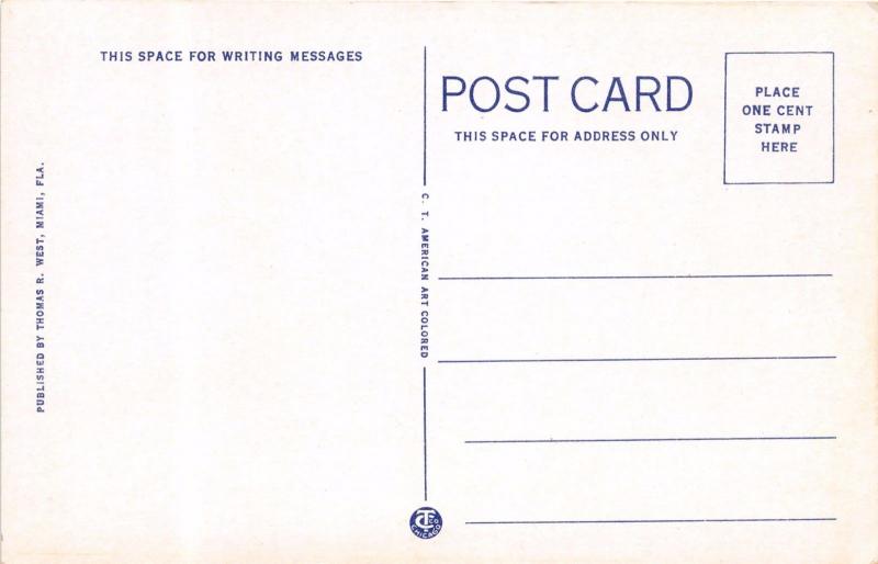 CORAL GABLES FLORIDA~PLENTIFUL MERMAIDS DIVING AT VENETIAN POOL POSTCARD 1920s