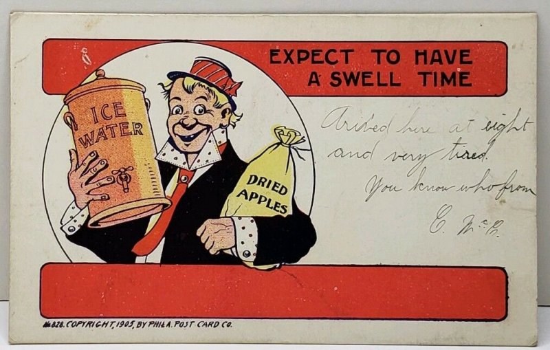 Expect to have a swell time Comic Moonshine Ice Water Dried Apples  Postcard D11