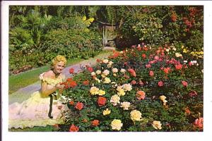 Woman Smelling Roses, Florida Cypress Gardens, 