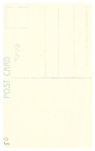 Bermuda , White Coral Home