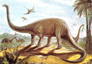 BR102797 diplodocus dinosaur dinosaure  animal animaux
