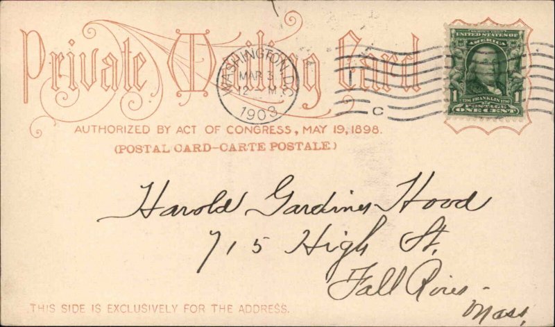 Washington D.C. DC Historical Buildings c1905 Private Mailing Card Postcard 