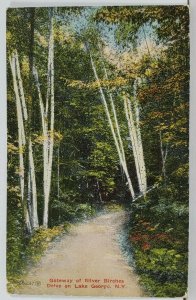 NY Gateway of Silver Birches Drive on Lake George c1912 Postcard F18